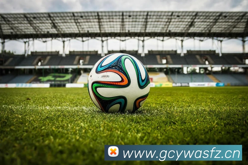 多媒体互动体验